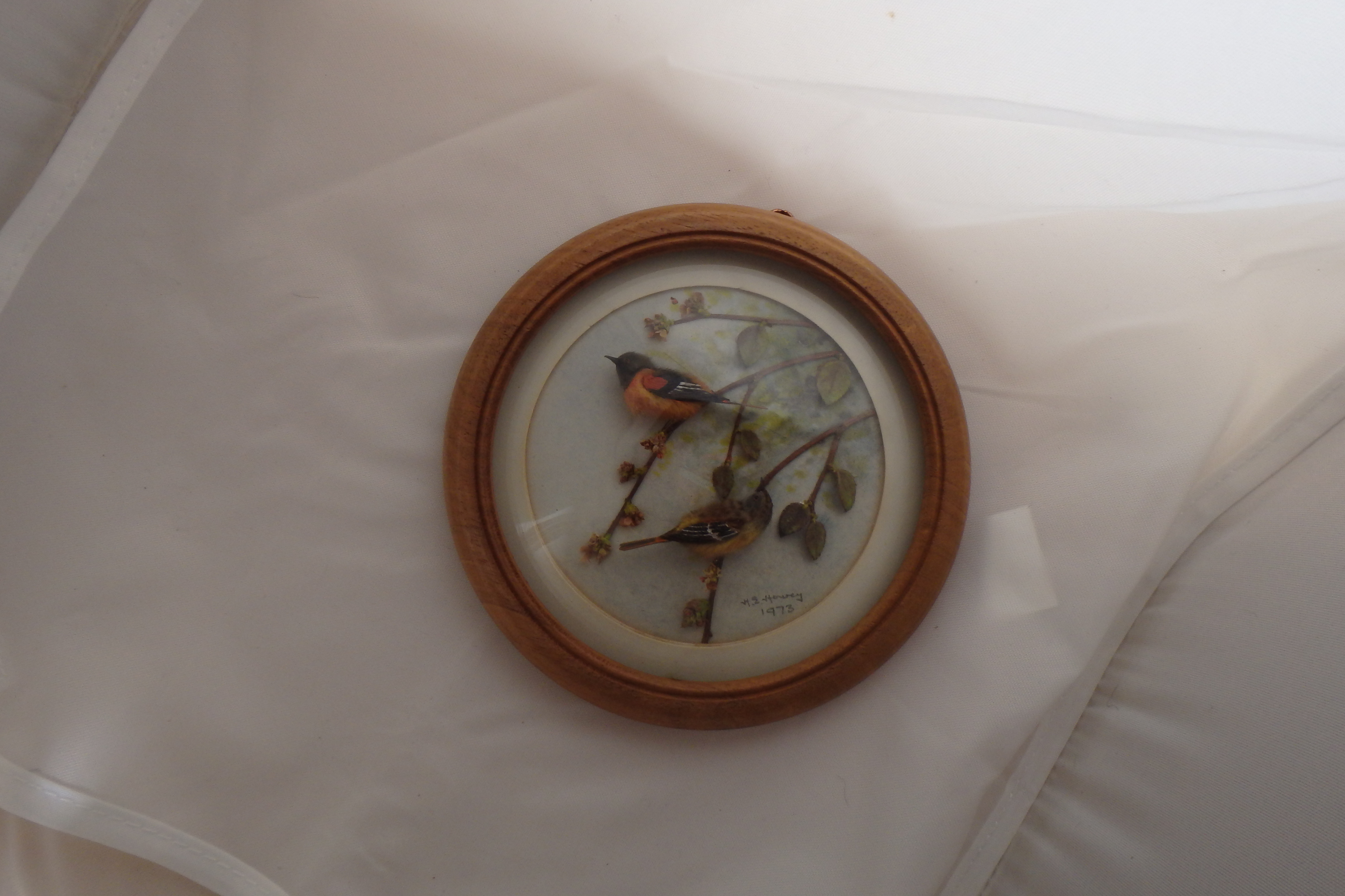 Baltimore Orioles (5-inch)
